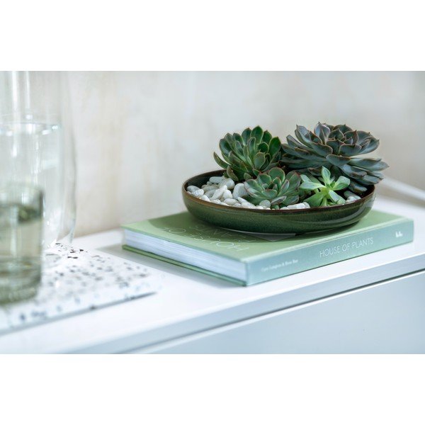 Piatto fondo verde in porcellana ø 21,5 cm Crafted Breeze – like | Villeroy & Boch-image-4