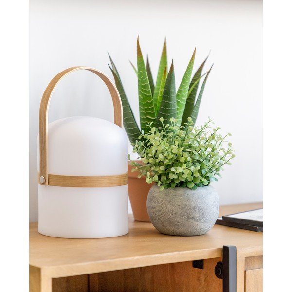 Eucalipto artificiale in vaso - Kave Home-image-2