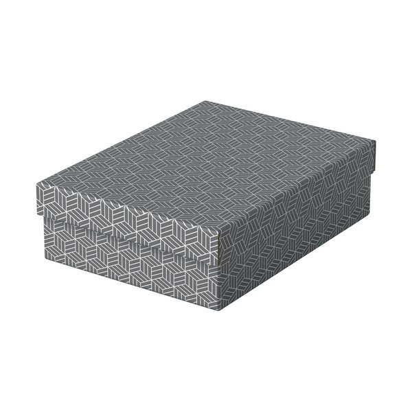 Set di 3 scatole portaoggetti grigie , 26,5 x 36 cm - Esselte Home