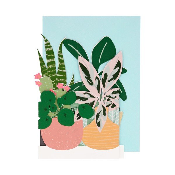 Desideri Potted Plant - Meri Meri-image-1