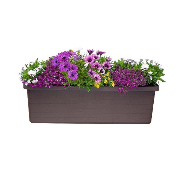Cassetta auto-irrigante di grande volume color cioccolato Berberis TRIO, 72 l - Plastia