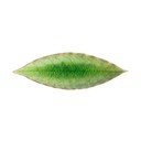 Vassoio in gres 6x18 cm Riviera – Costa Nova