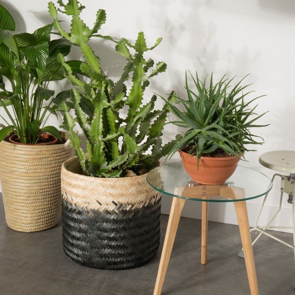 Set di 2 tavoli contenitori Bror - White Label-image-1