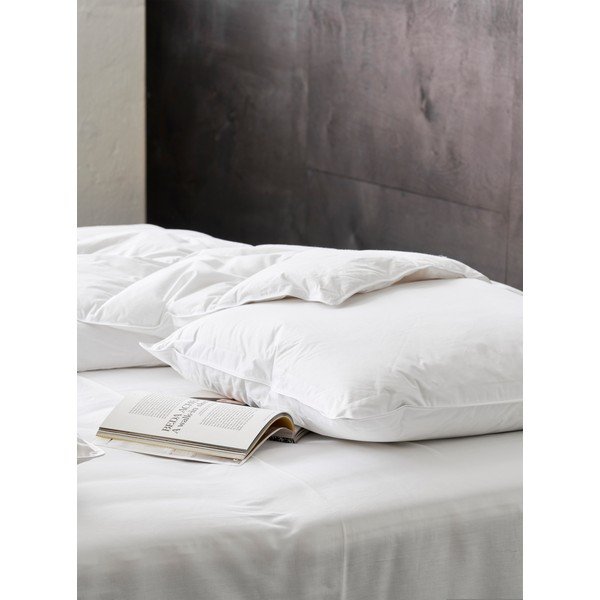 Cuscino con imbottitura in piume 50x60 cm Jack the Dullard – Ringsted Dun-image-2
