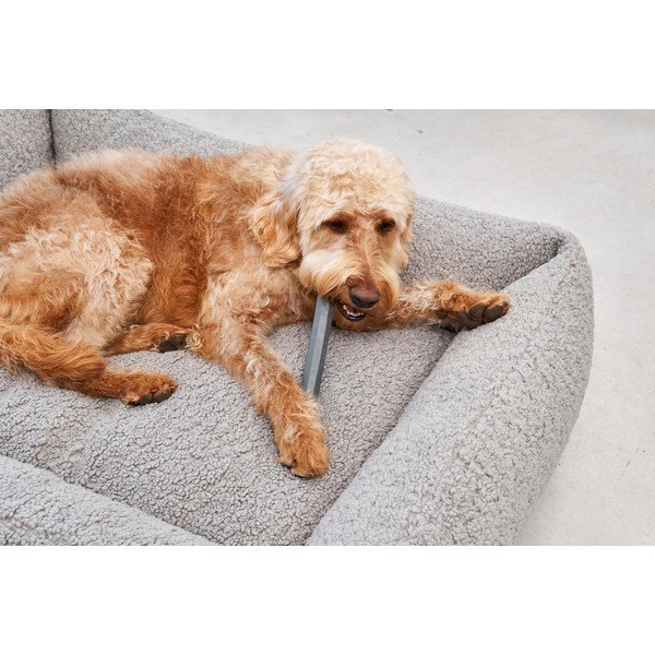 Giocattolo per cani Ramo Slate - MiaCara-image-1