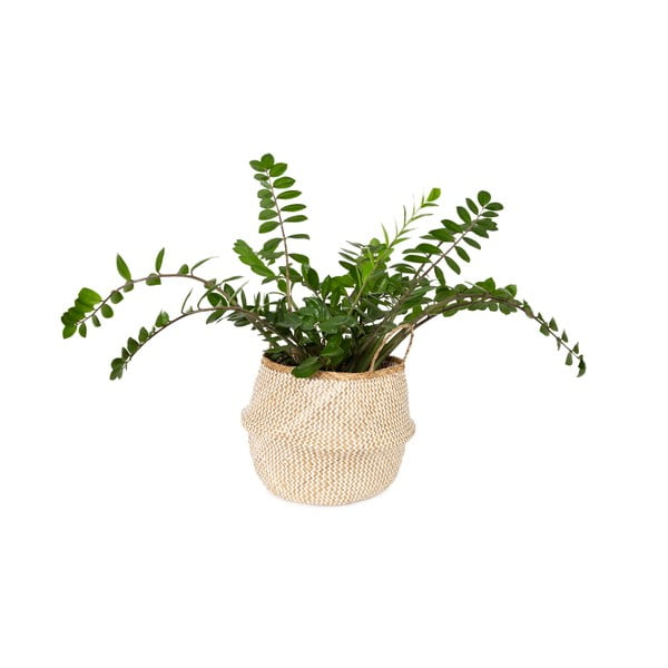 Cesto portaoggetti in seagrass chiaro , ⌀ 45 cm Zic Zac - Compactor-image-1