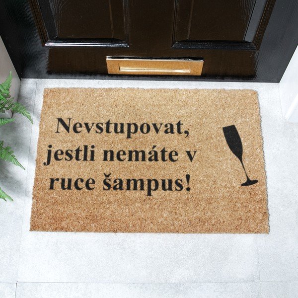 Zerbino in cocco 40x60 cm Šampus - Artsy Doormats-image-2