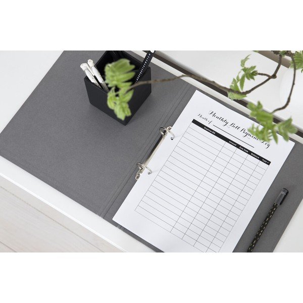 Organizzatore di cartone Ringo - Bigso Box of Sweden-image-3