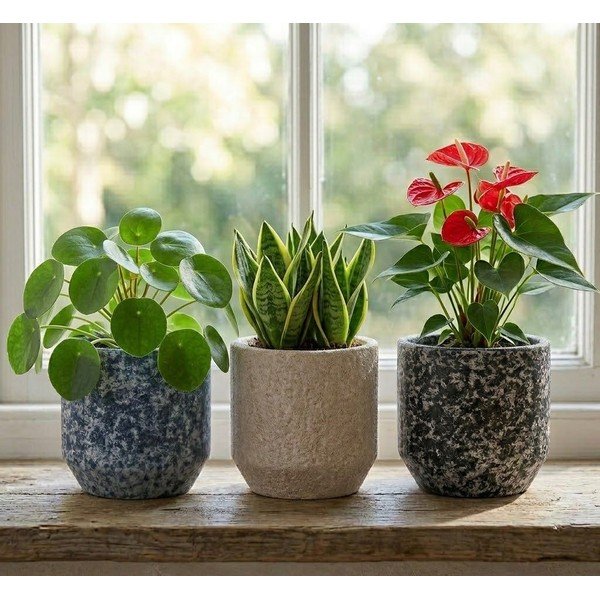 Coprivaso in ceramica ø 14 cm Almada – Ego Dekor-image-1