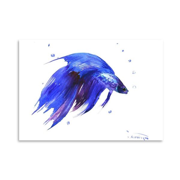 Plakát Betta Fish