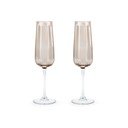 Set di bicchieri da bollicine 2 pz 240 ml Corvina – Leopold Vienna