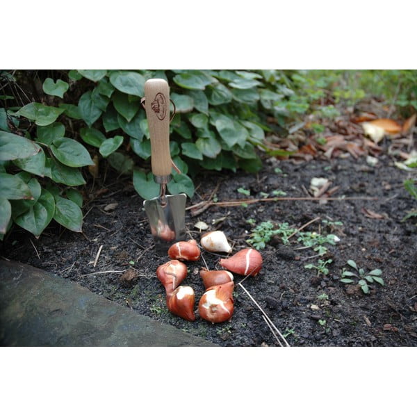 Cazzuola per trapianto in legno di frassino Stagno - Esschert Design-image-4