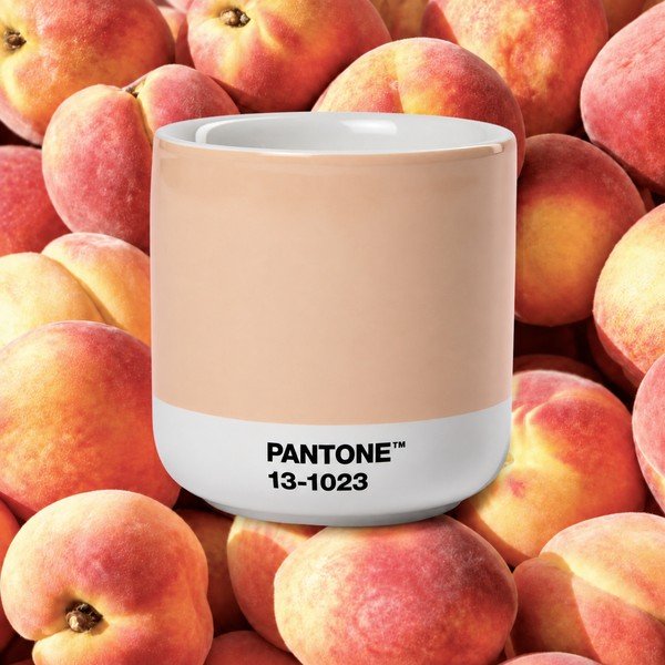 Tazzina per cappuccino arancione in porcellana 175 ml Peach Fuzz 13-1023 – Pantone-image-1