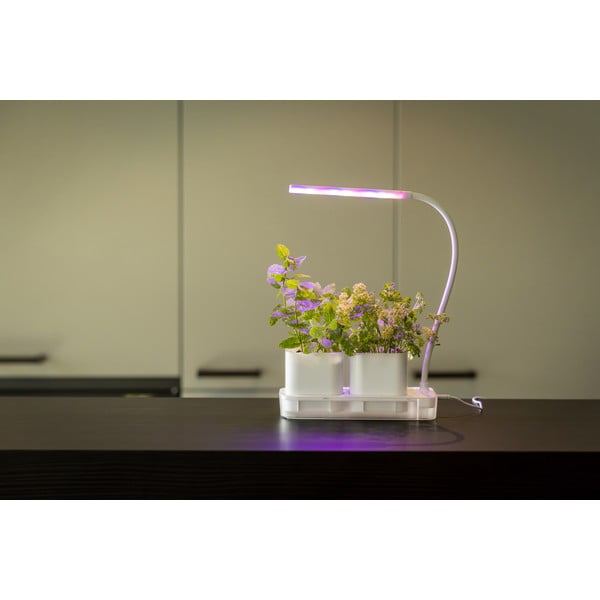 Grow room in metallo Lamp - Esschert Design-image-3