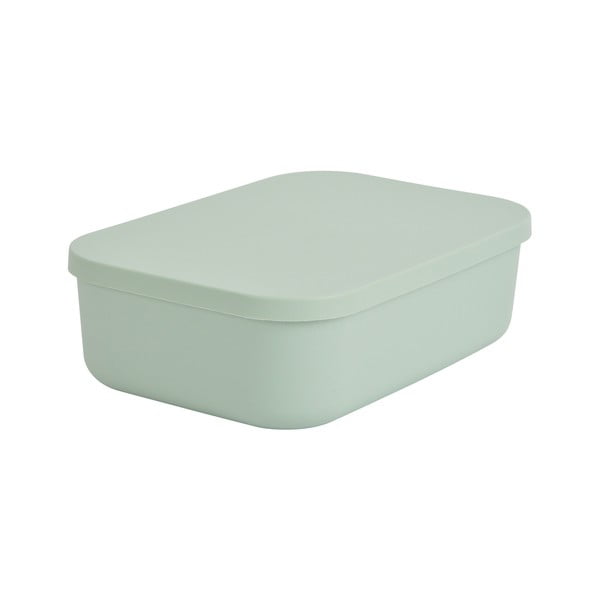 Scatola con coperchio in verde chiaro in plastica 24x18x8 cm – Homéa