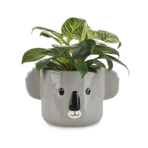 Vaso in ceramica ø 13,5 cm Koala - Balvi-image-1
