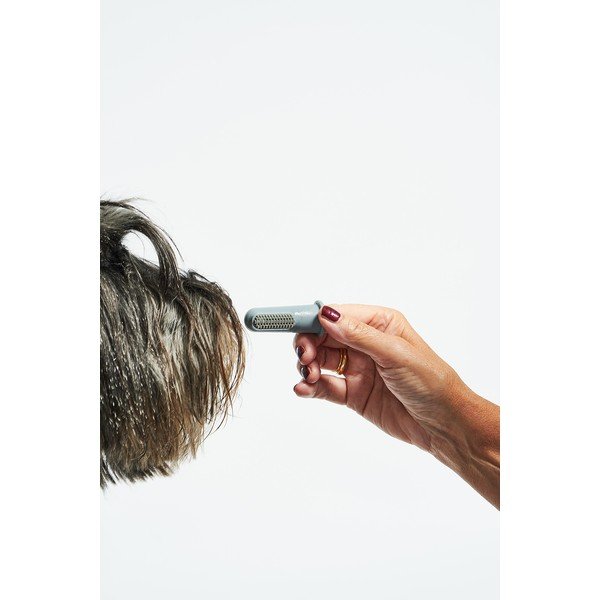 Set di 3 spazzolini per animali domestici Dito - MiaCara-image-4