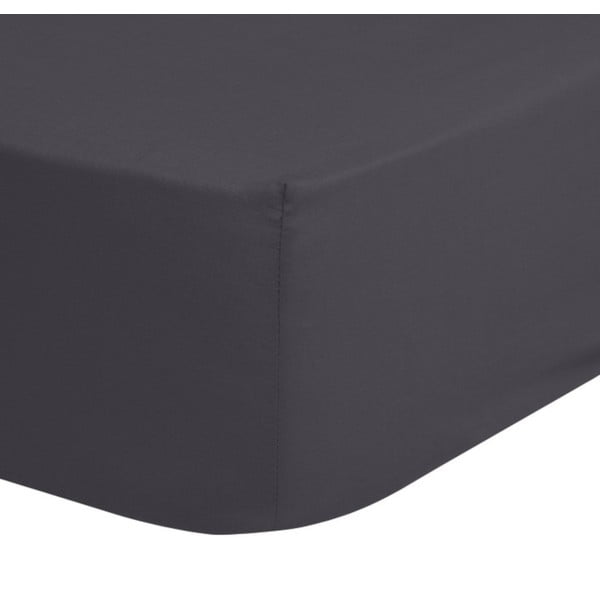 Lenzuolo elastico di cotone grigio scuro, 180 x 200 cm - Good Morning-image-1