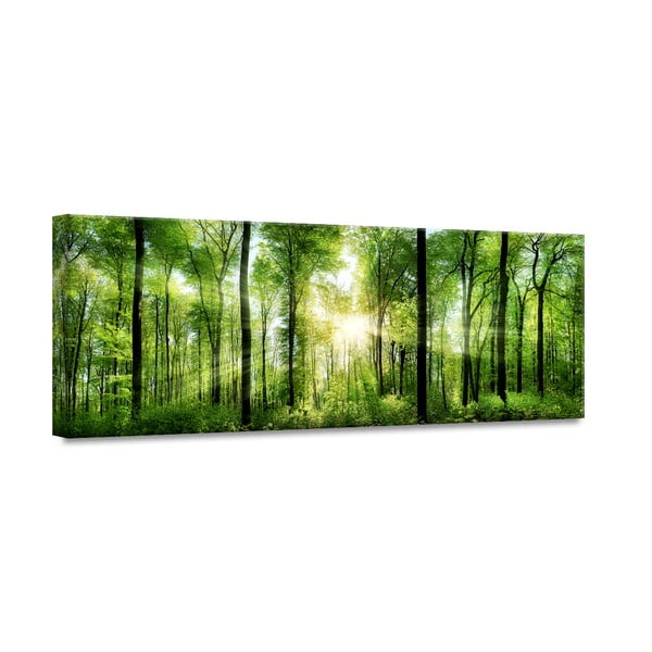 Immagine Glasspik Nature , 50 x 125 cm Sunlight - Styler