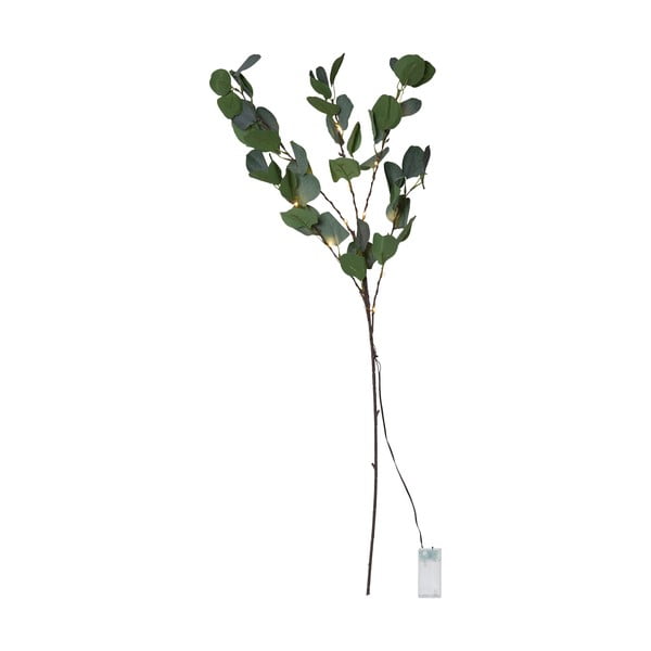 Decorazione luminosa a LED verde, lunghezza 90 cm Eucalyptus - Star Trading