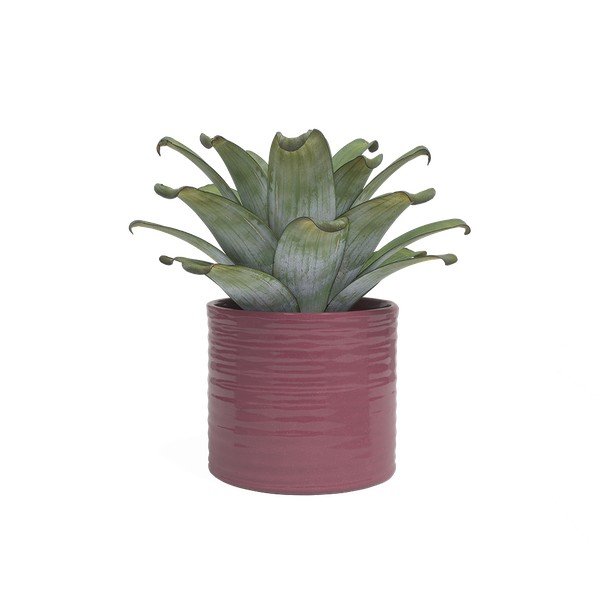 Coprivaso in ceramica ø 25 cm Fortuna – Artevasi