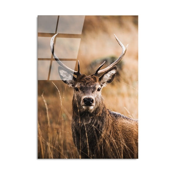 Pittura su vetro 70x100 cm Deer - Wallity