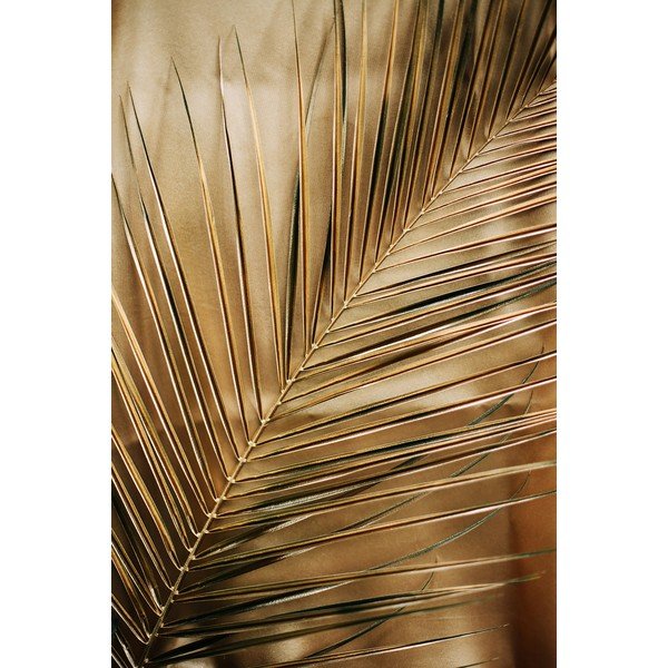 Dipinto stampato dipinto su vetro 80x120 cm Gold Palm  – Styler