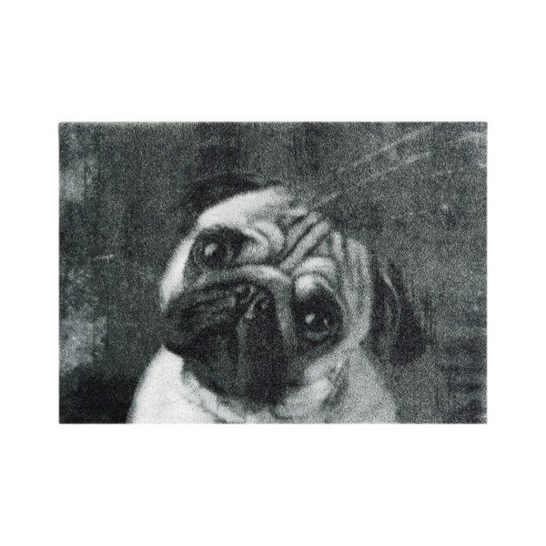 Šedá rohožka Hanse Home StateMat Dog, 50 x 75 cm