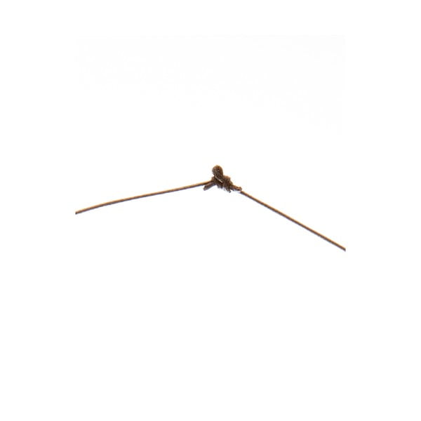 Collana da donna Daiy - NOMA-image-1