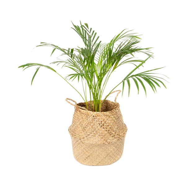 Cesto portaoggetti in seagrass chiaro , ⌀ 36 cm - Compactor-image-4