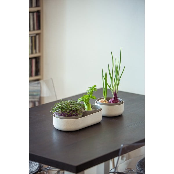 Ciotola in plastica per germogliare le erbe ø 16 cm Regrow - Plastia-image-3