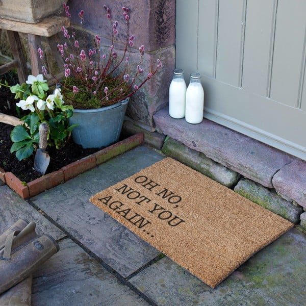 Zerbino in cocco 40x60 cm Oh No Not You Again - Artsy Doormats-image-1