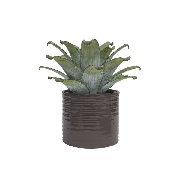 Coprivaso in ceramica ø 18 cm Fortuna – Artevasi