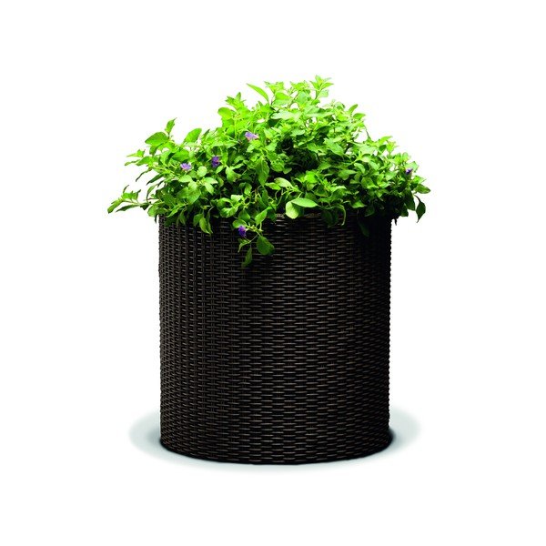 Fioriera marrone, ø 35 cm - Keter-image-1