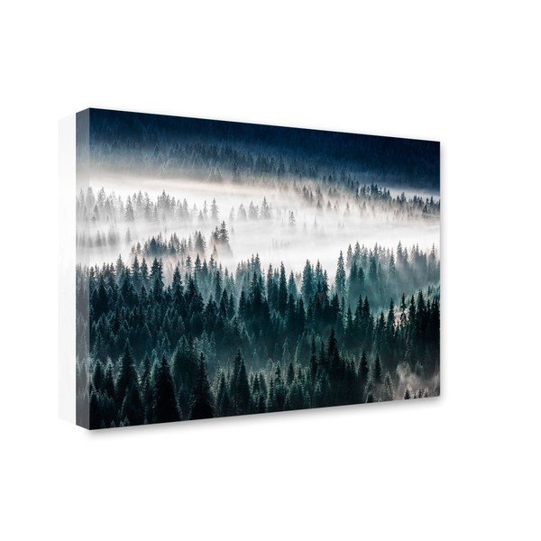 Immagine Glasspik Misty Forest, 80 x 120 cm - Styler-image-1