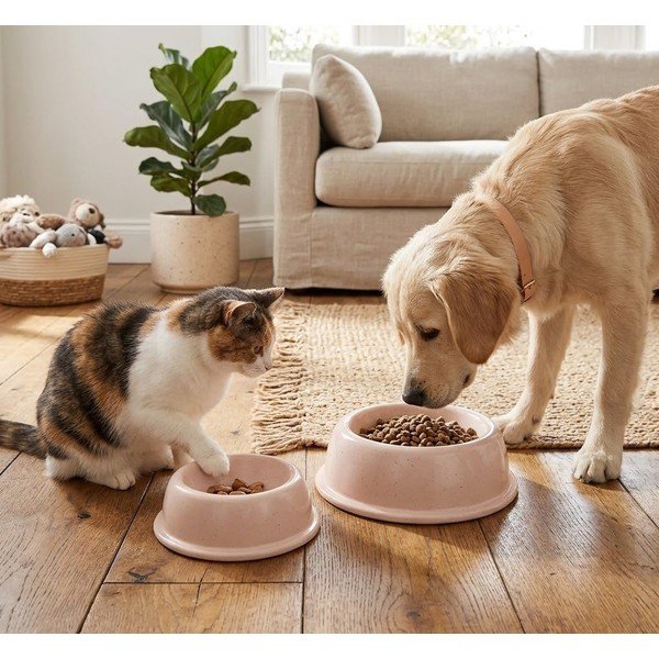 Ciotola in gres per animali ø 16 cm - Casafina-image-1