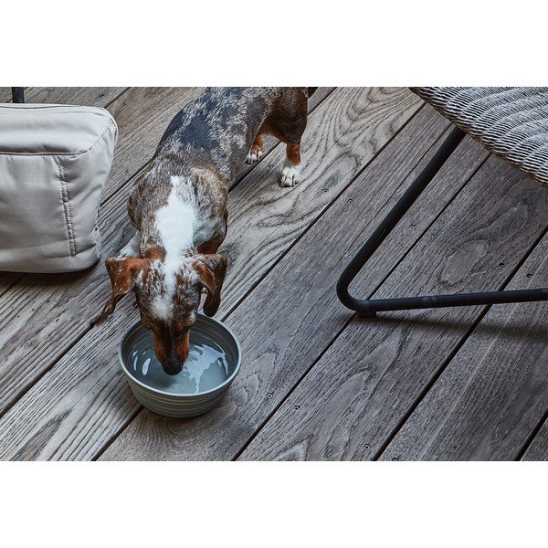 Ciotola da viaggio pieghevole in silicone per cani ø 15,5 cm Piega Slate - MiaCara-image-1