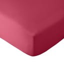 Lenzuolo con angoli rosa scuro in microfibra 185x200 cm So Soft Easy Iron – Catherine Lansfield