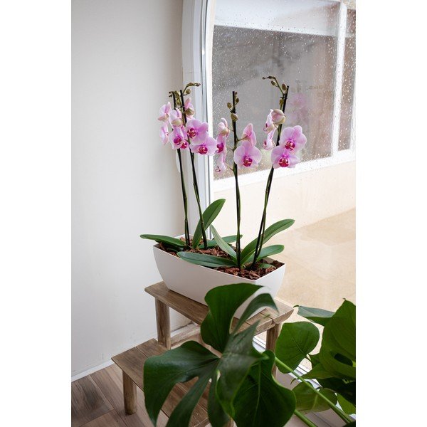 Fioriera in plastica riciclata 30 cm Siena – Artevasi-image-2