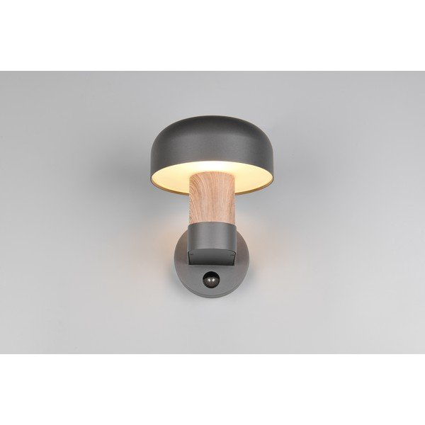 Illuminazione esterna con sensore di movimento da parete (altezza totale 24,5 cm) Fraser – Trio-image-4