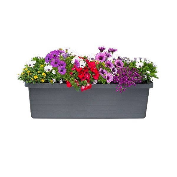 Fioriera auto-irrigante di grande volume antracite, 72 l Berberis Trio - Plastia-image-1