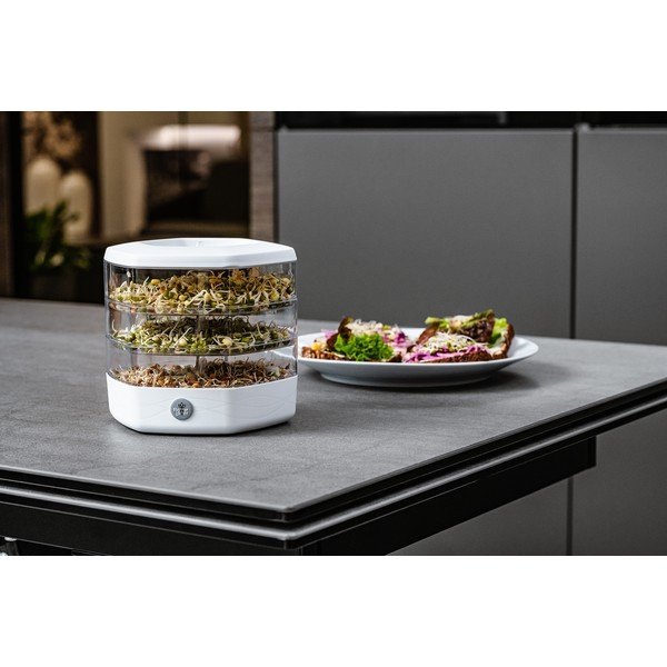 Vasetto per germogli in plastica ø 17 cm Mungo – Flower Lover-image-1