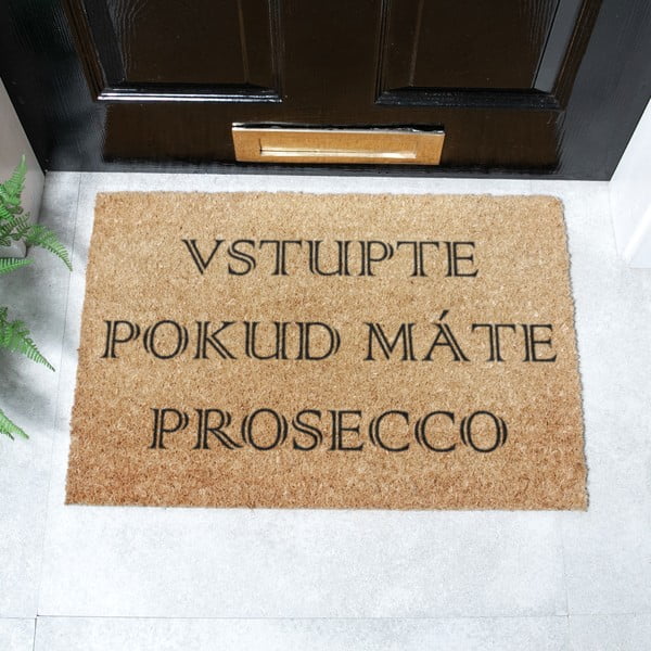 Zerbino in cocco 40x60 cm Prosecco - Artsy Doormats-image-2
