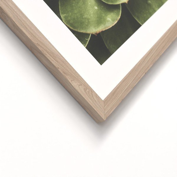 Set di dipinti stampati con cornice inclusa 2 pz 30x40 cm Beauty Green – Styler-image-3