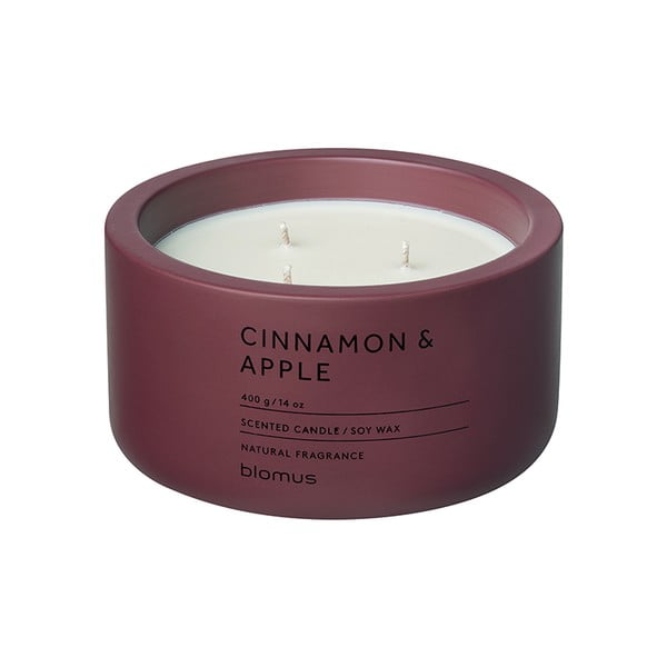Candela di soia profumata tempo di combustione 25 h Fraga: Cinnamon & Apple - Blomus