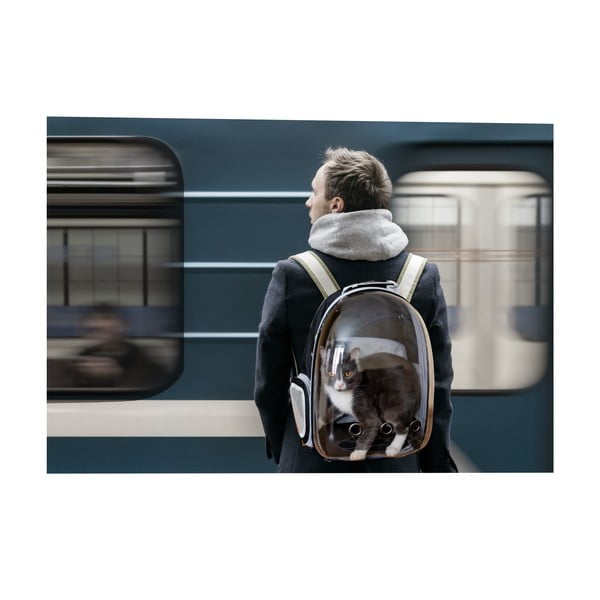 Borsa per animali 28x33 cm - Love Story-image-3