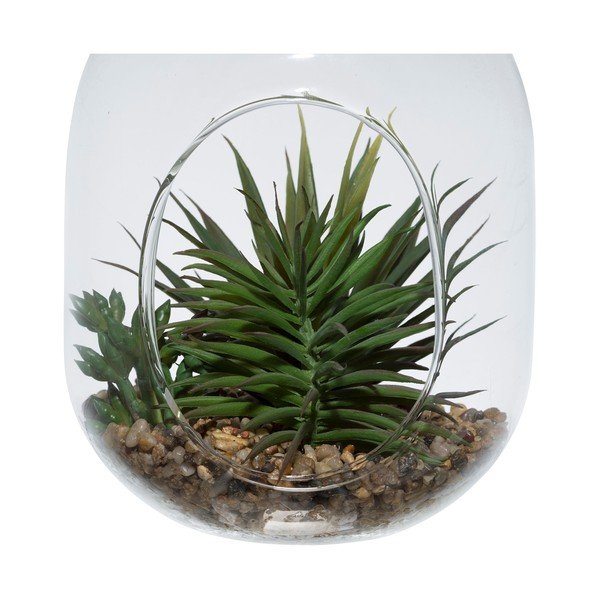 Succulenta artificiale Terra - Sema-image-3