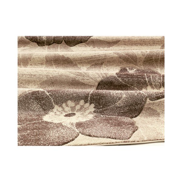 Koberec Webtappeti Intarsio Cane Sugar, 120 x 170 cm-image-3