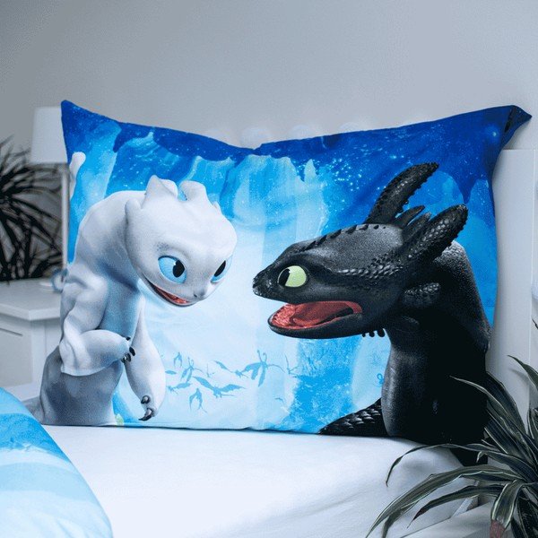 Biancheria da letto singola per bambini in microfibra 140x200 cm How to Train Your Dragon - Jerry Fabrics-image-3
