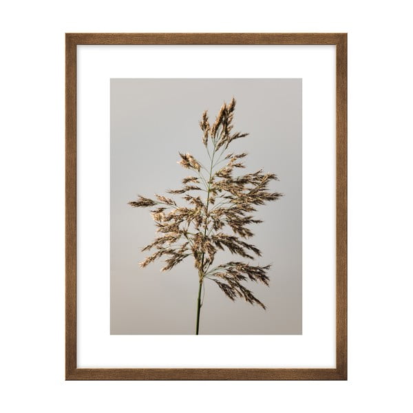 Poster 40x50 cm Meadow - knor